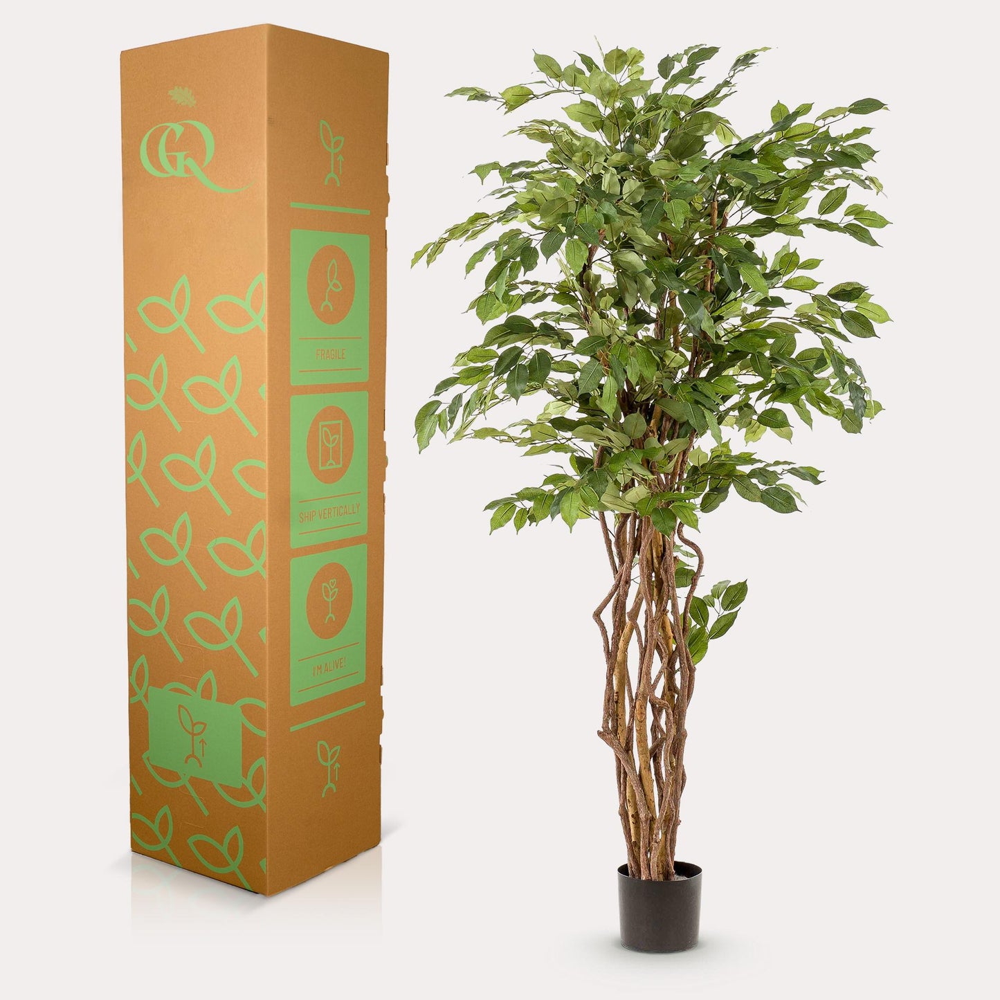 kunstplant Ficus liana  Vioolbladplant 170cm