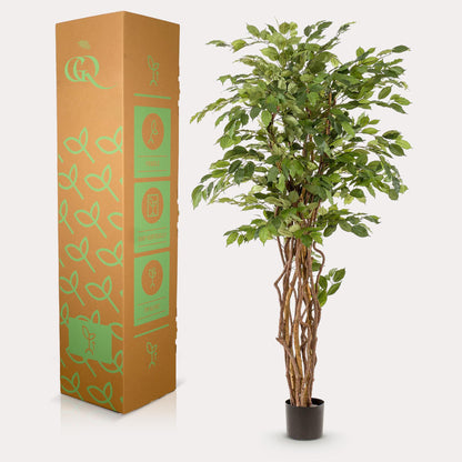 kunstplant Ficus liana  Vioolbladplant 170cm