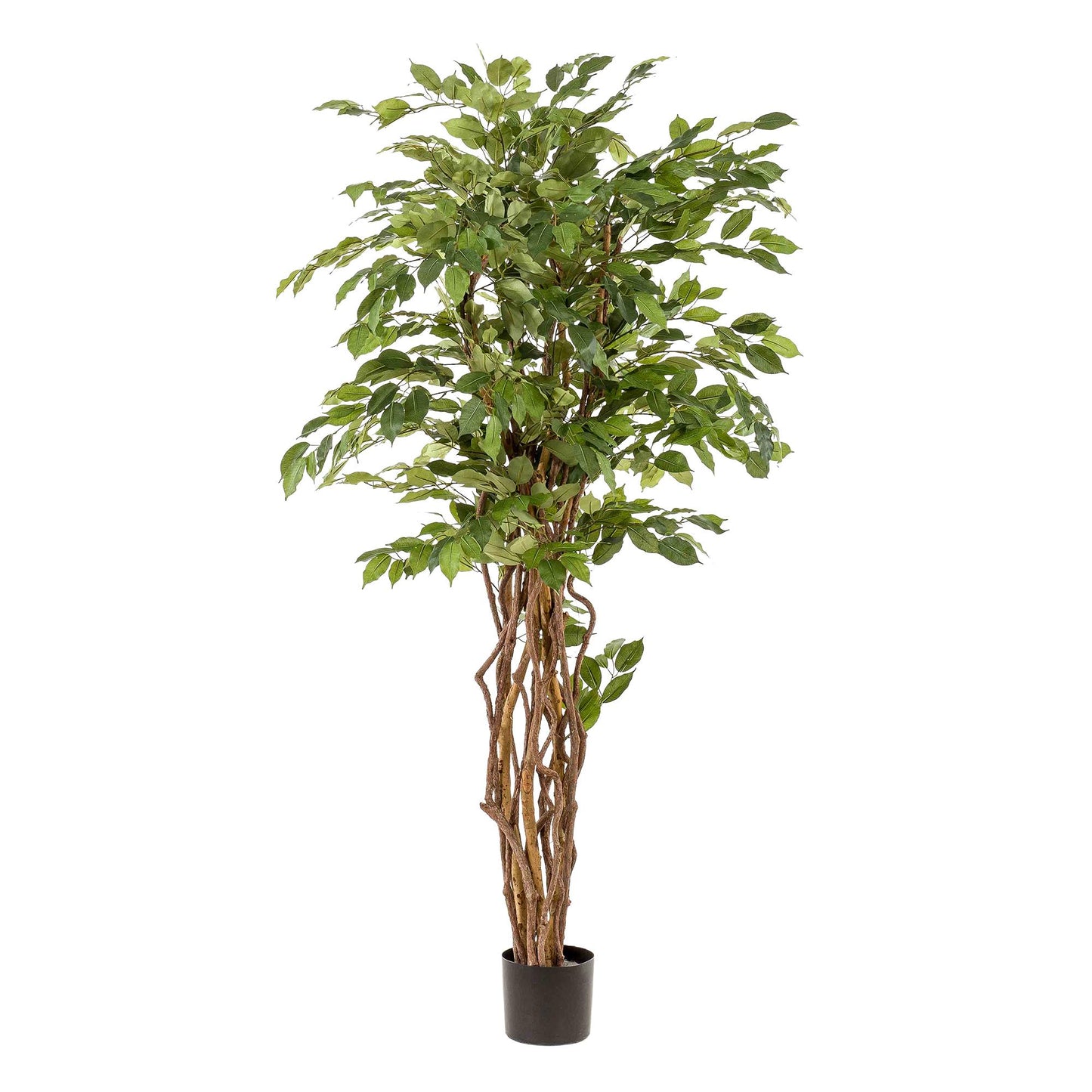 kunstplant Ficus liana  Vioolbladplant 170cm