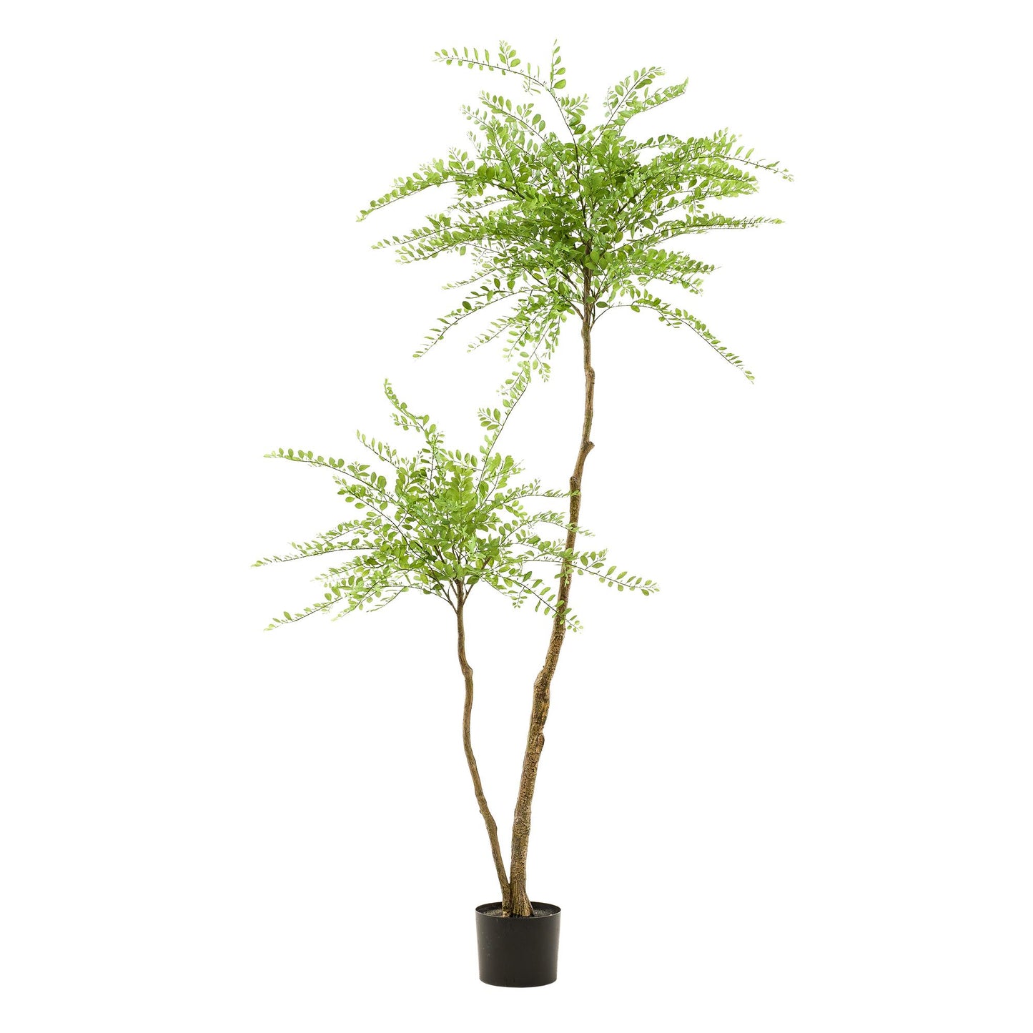 kunstplant Sophora tree Honingboom 190cm
