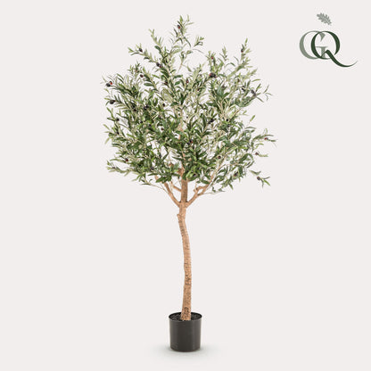 Kunst Olijfboom Olea europaea Olijfboom 180 cm