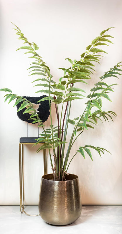 Kunstplant Rumohra Adiantiformis Ledervaren 180 cm