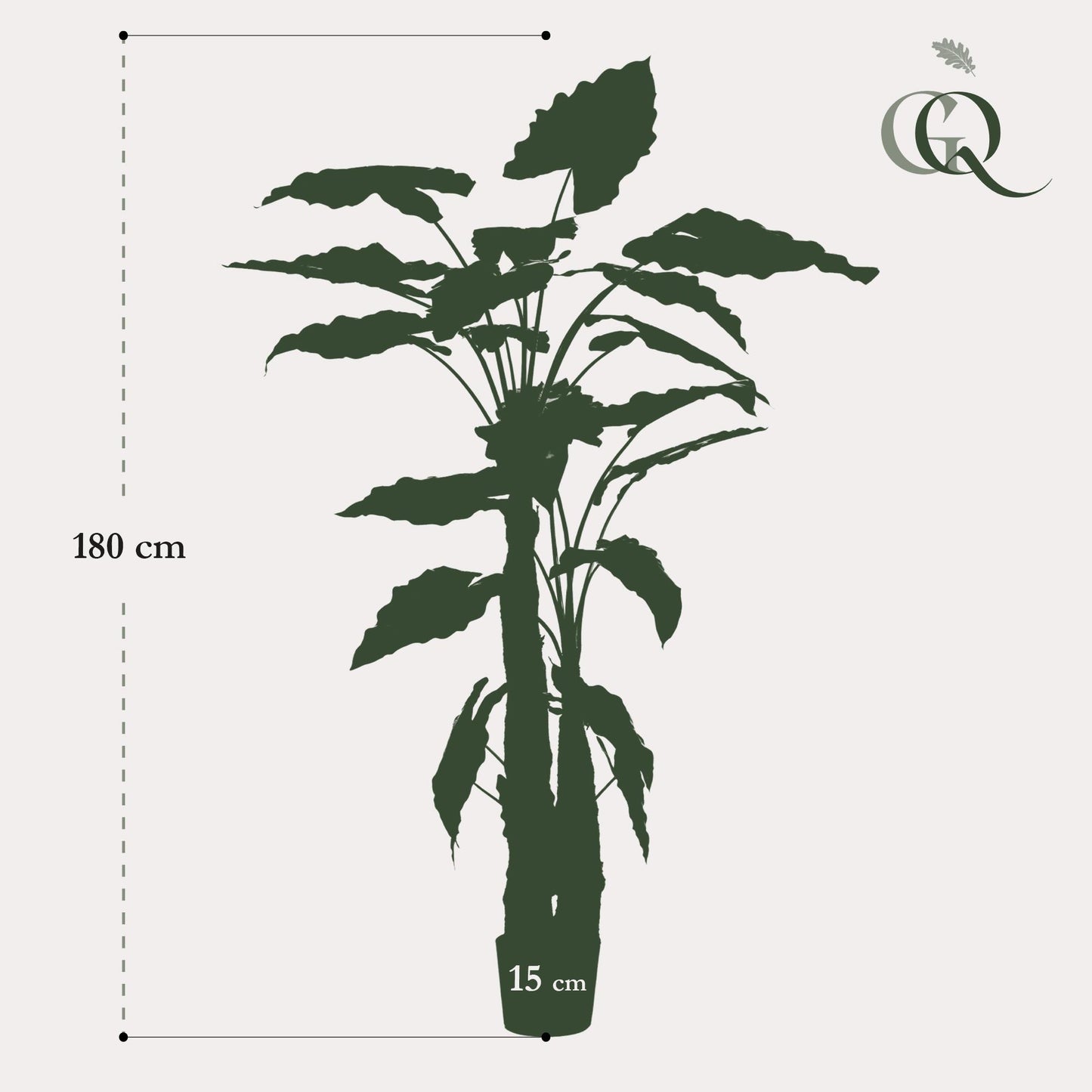 Kunstplant Alocasia Olifantsoor 180 cm