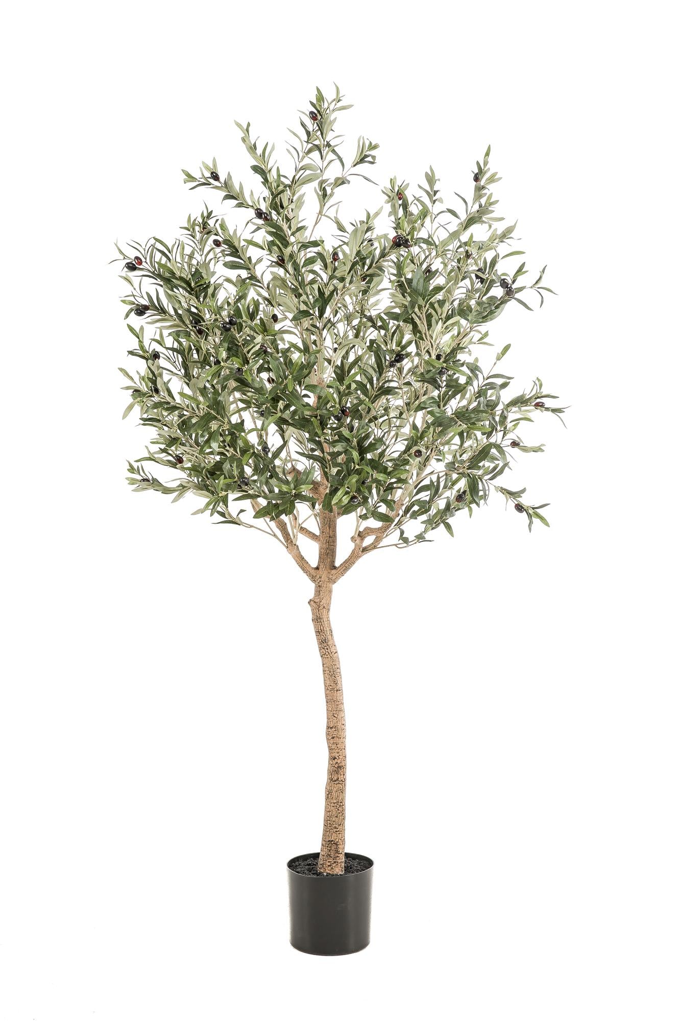 Kunst Olijfboom Olea europaea Olijfboom 180 cm