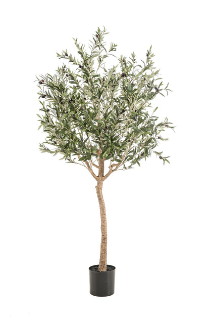 Kunst Olijfboom Olea europaea Olijfboom 180 cm