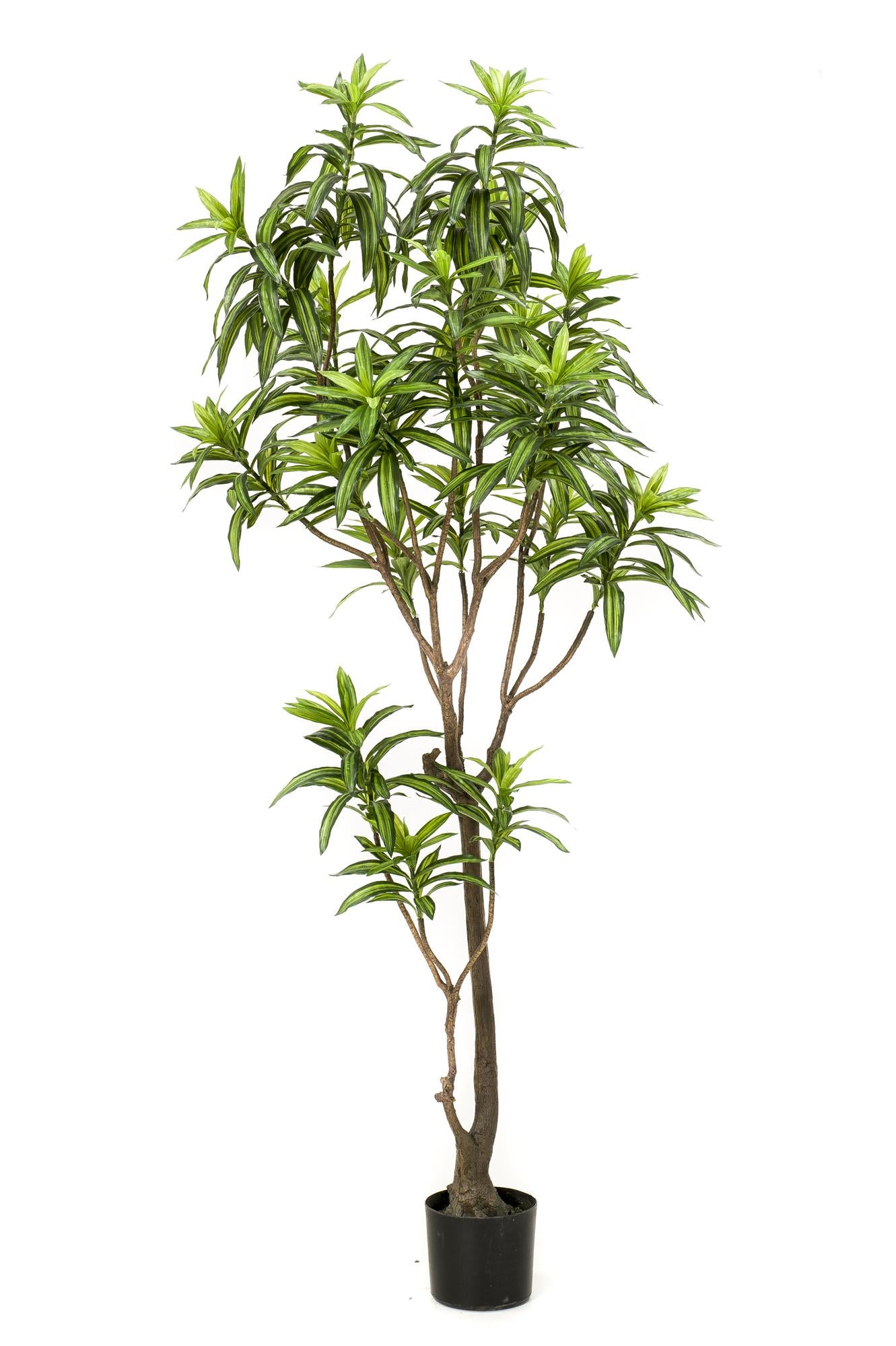 Kunstplant Dracena Drakenboom 190 cm