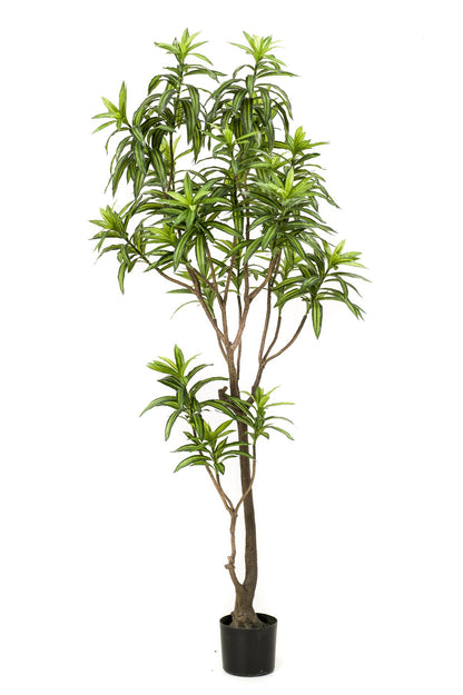 Kunstplant Dracena Drakenboom 190 cm