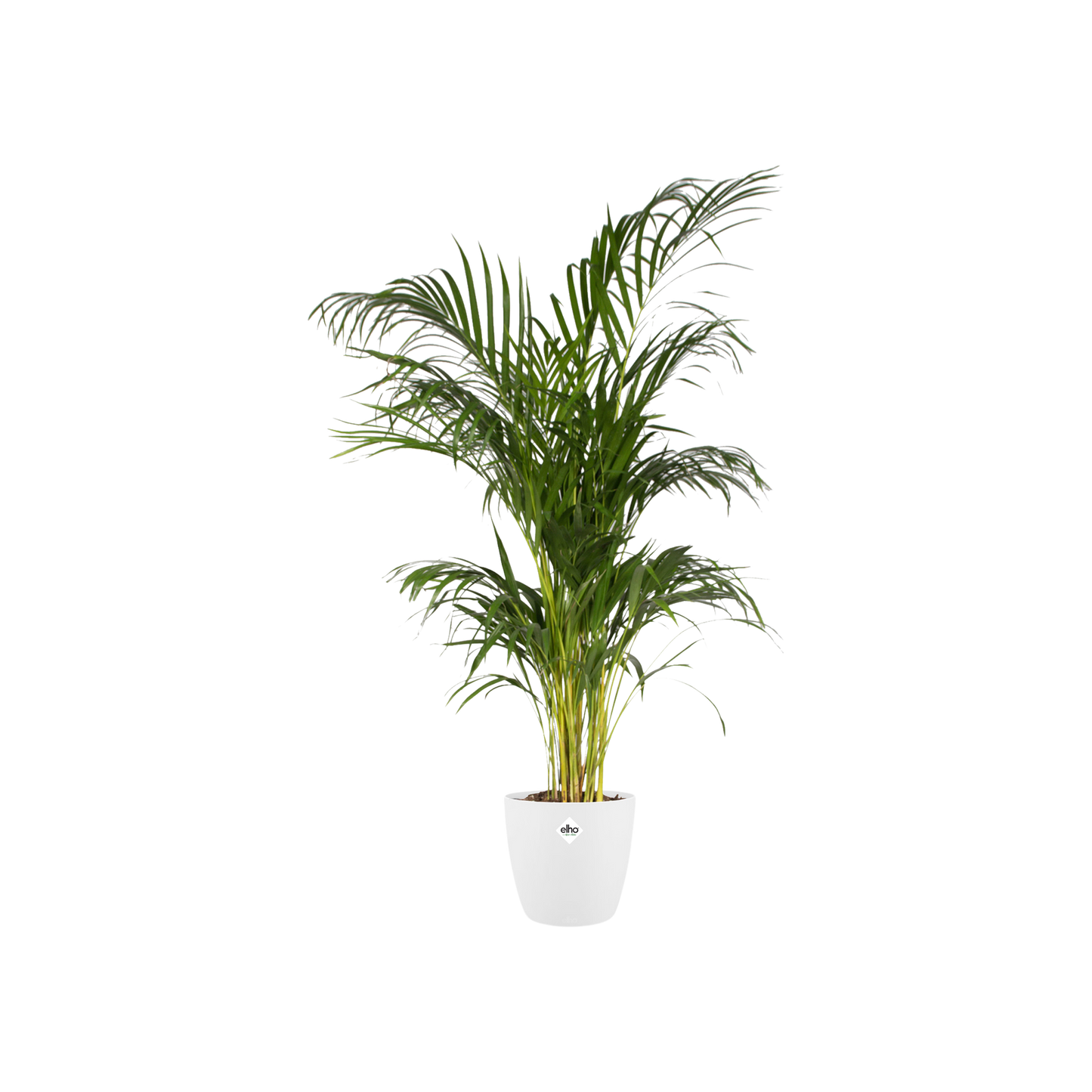 Pot elho Brussels Round Wit