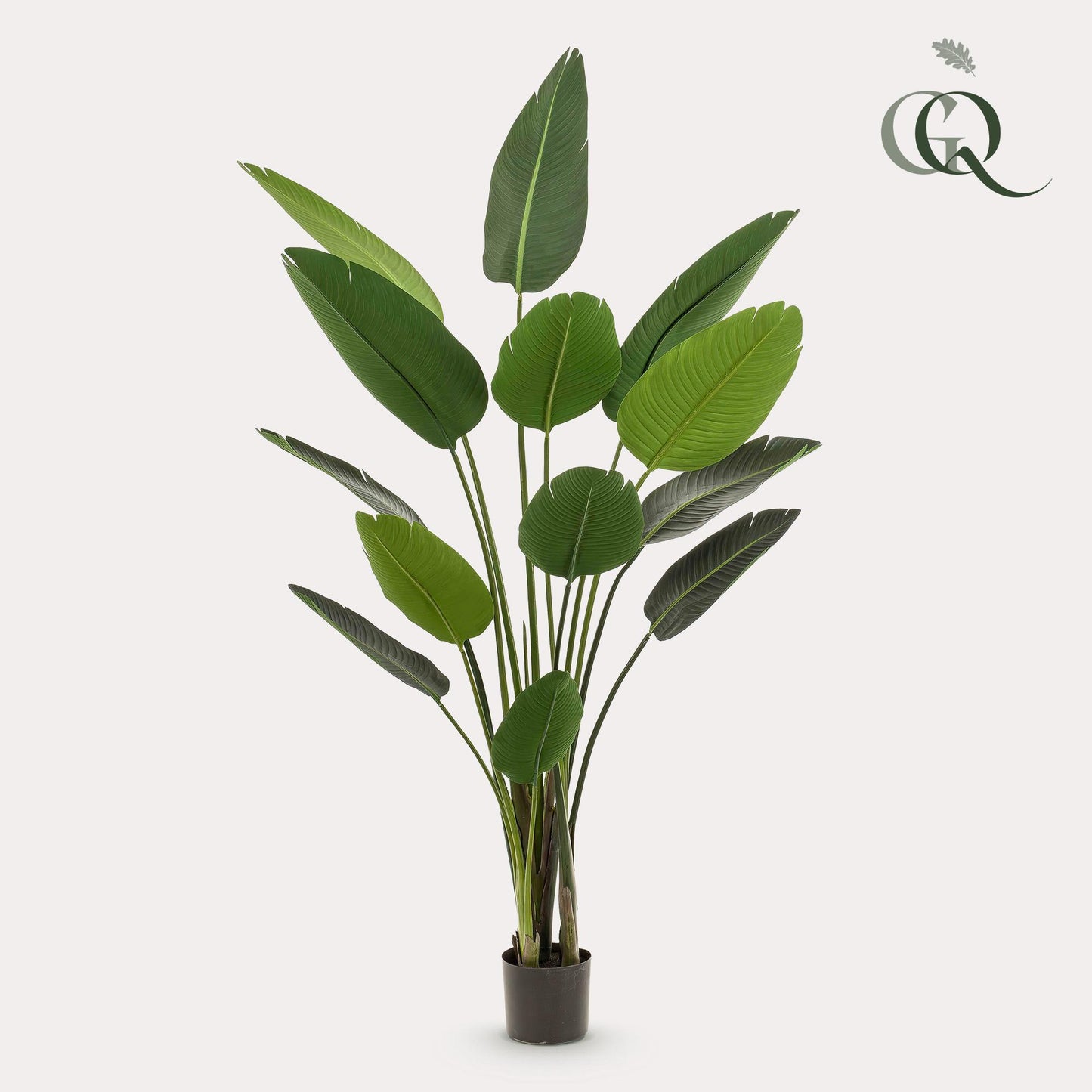 Kunstplant Strelitzia Nicolai Paradijsvogelbloem 190 - 230cm