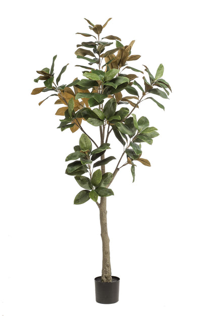 Kunstplant Magnolia Grandiflora 180 cm