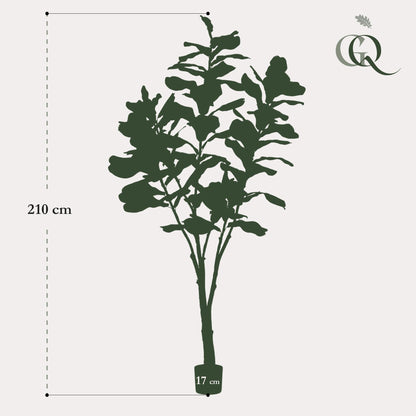 Kunstplant Ficus Lyrata Tabaksplant 180 - 210 cm