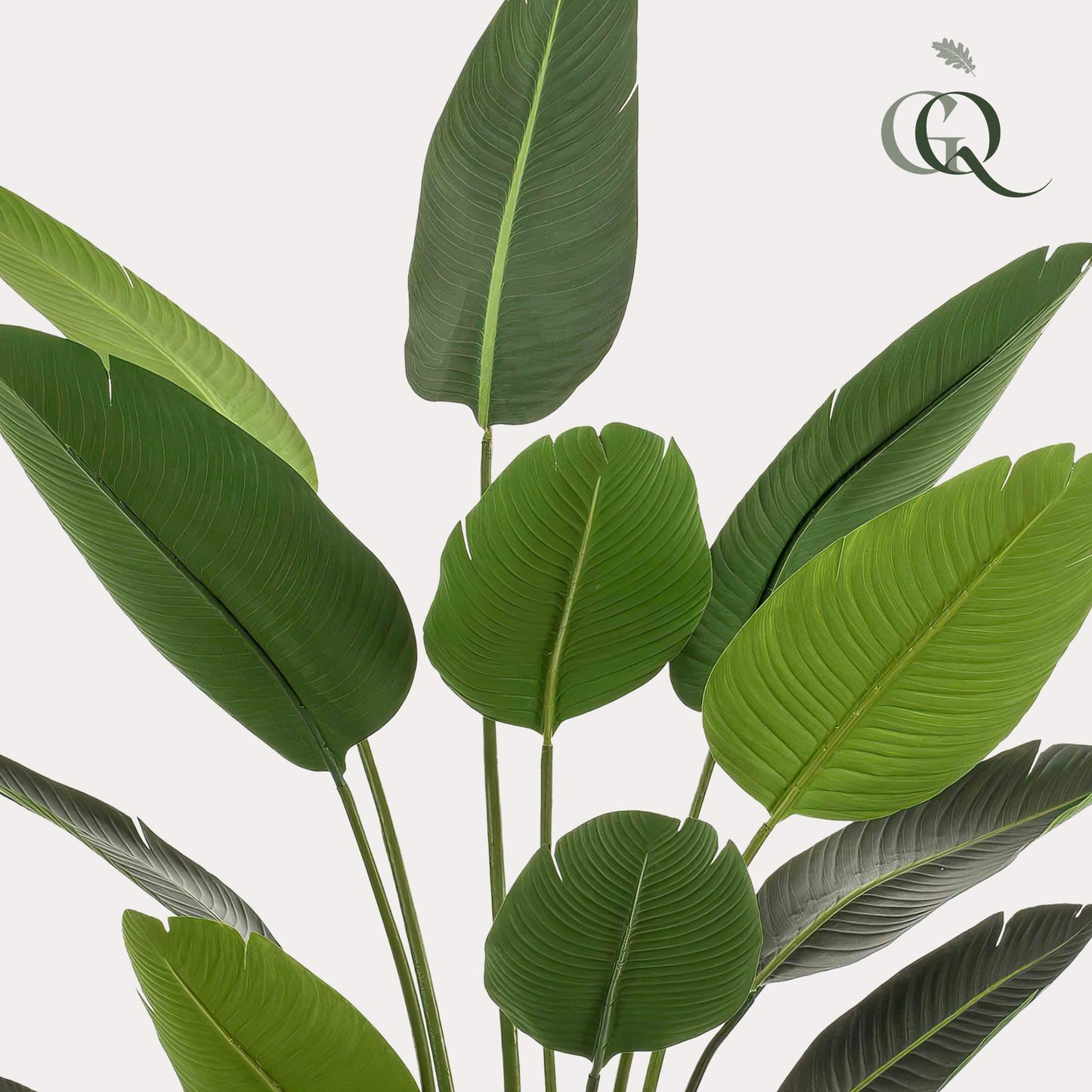 Kunstplant Strelitzia Nicolai Paradijsvogelbloem 190 - 230cm