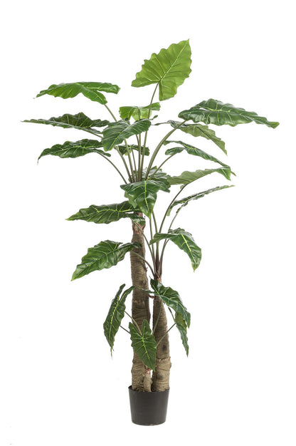 Kunstplant Alocasia Olifantsoor 180 cm