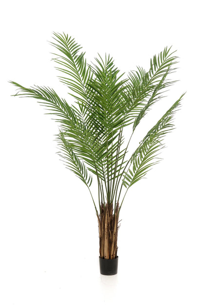 Kunstplant Areca Lutescens Goudpalm 180 - 240 cm