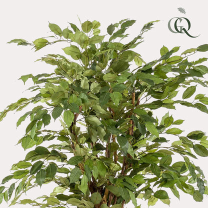 kunstplant Ficus liana  Vioolbladplant 170cm