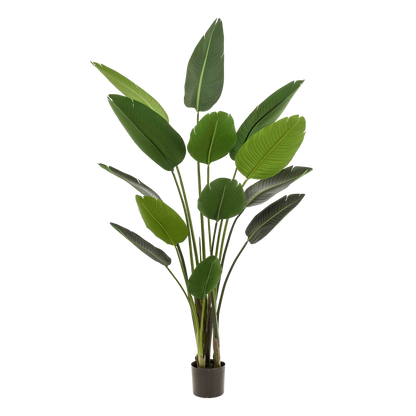 Kunstplant Strelitzia Nicolai Paradijsvogelbloem 190 - 230cm