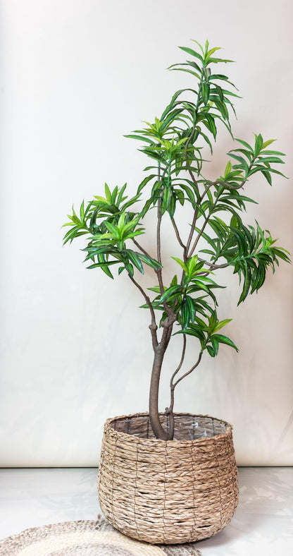 Kunstplant Dracena Drakenboom 190 cm