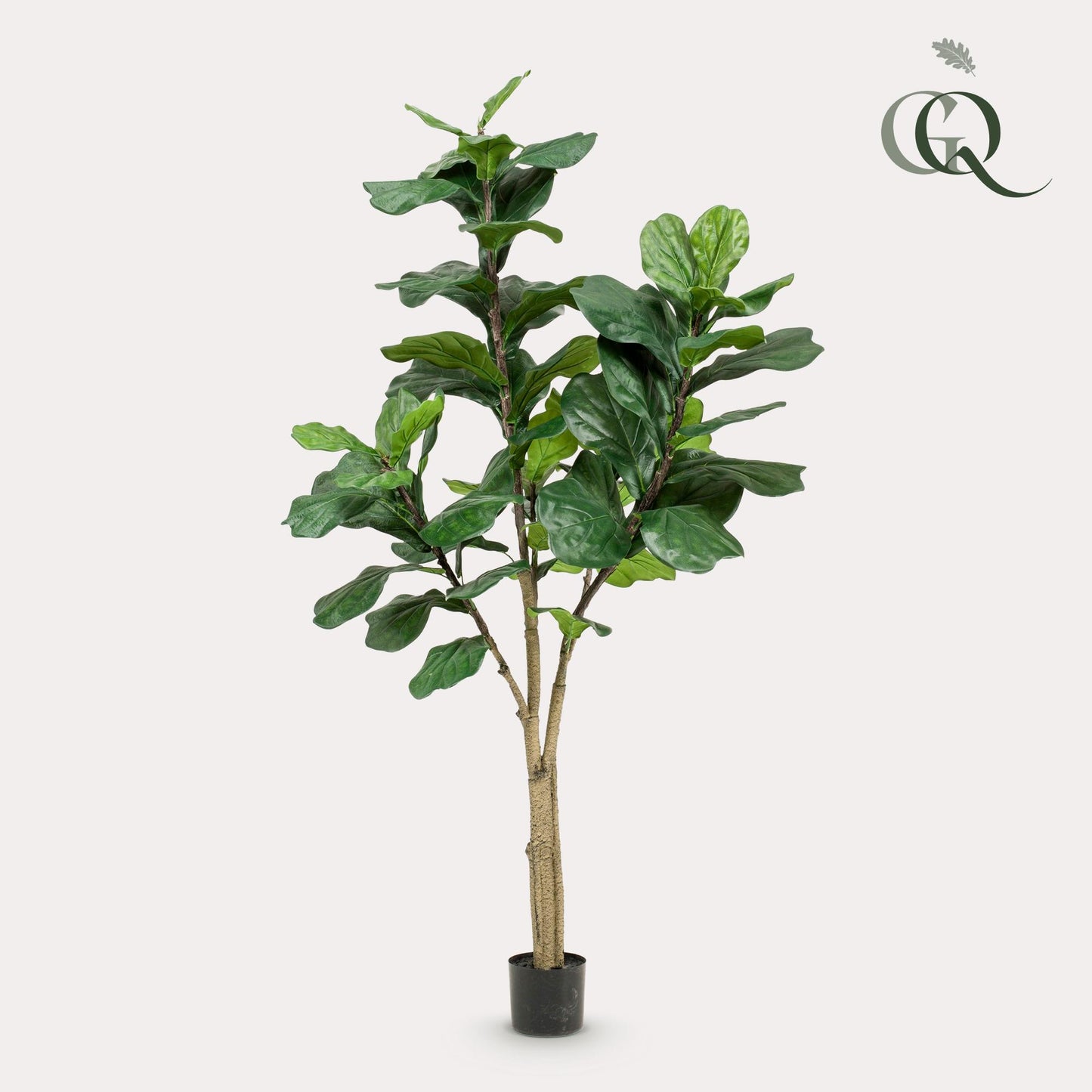 Kunstplant Ficus Lyrata Tabaksplant 180 - 210 cm
