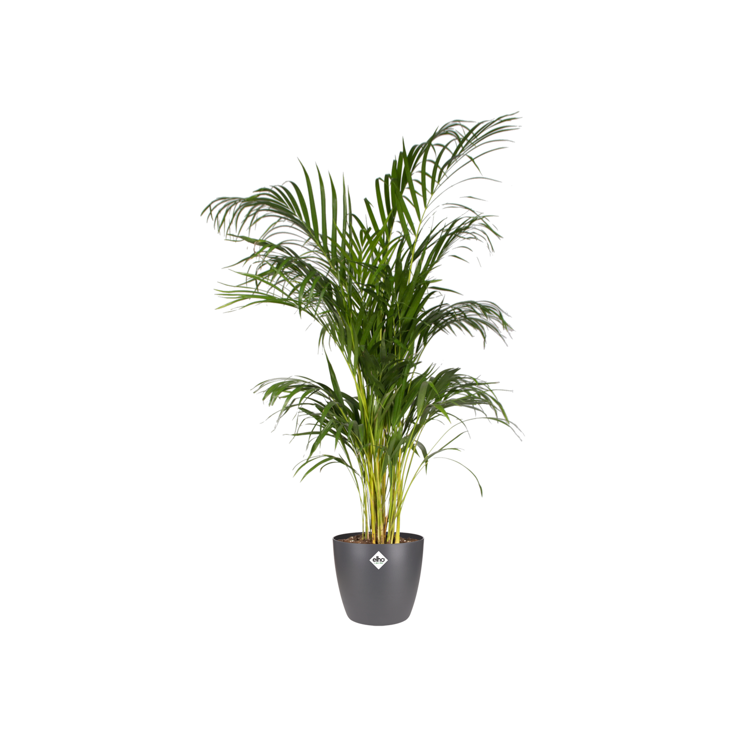 Pot elho Brussels Round Antraciet