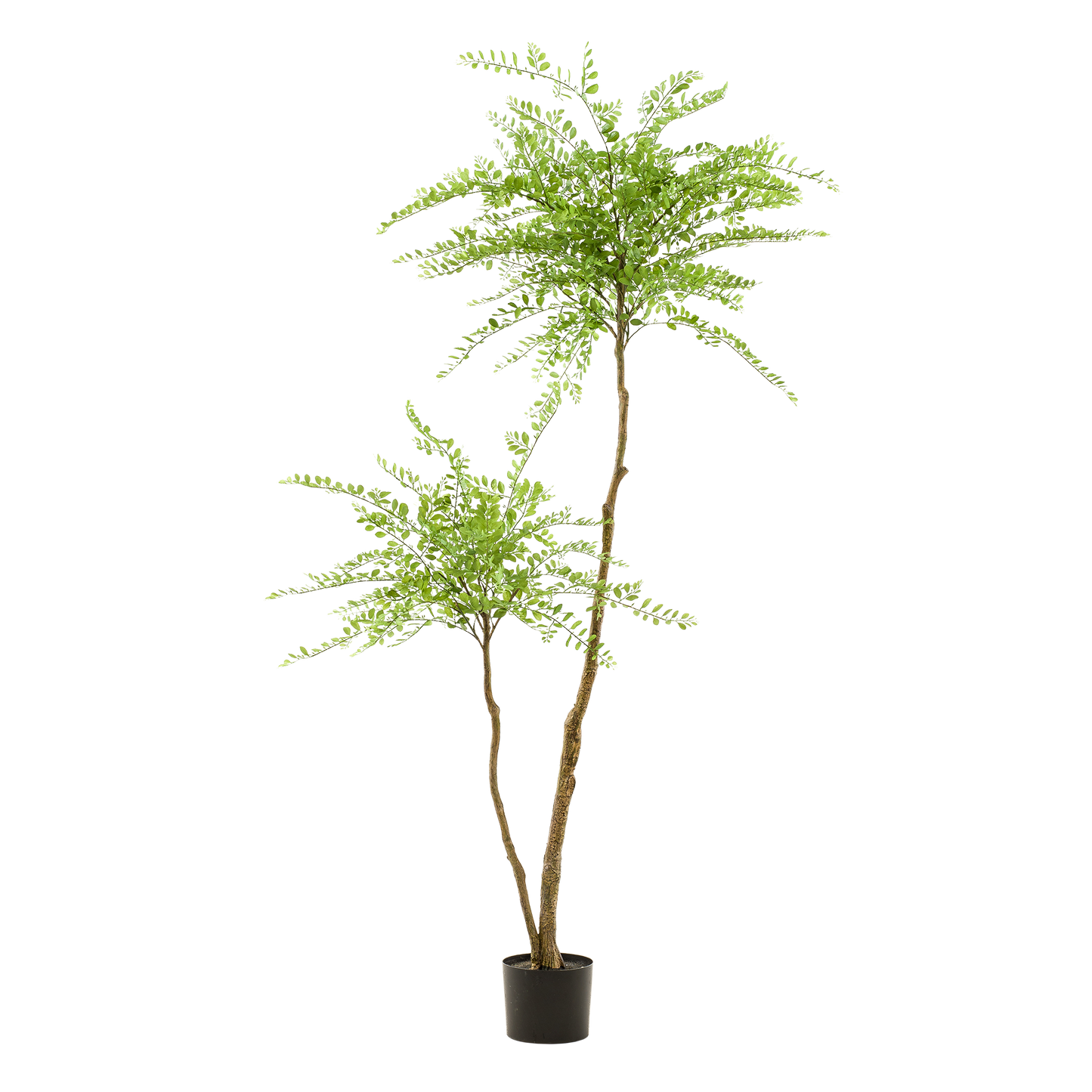 kunstplant Sophora tree Honingboom 190cm