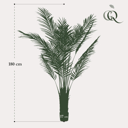 Kunstplant Areca Lutescens Goudpalm 180 - 240 cm