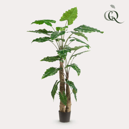 Kunstplant Alocasia Olifantsoor 180 cm
