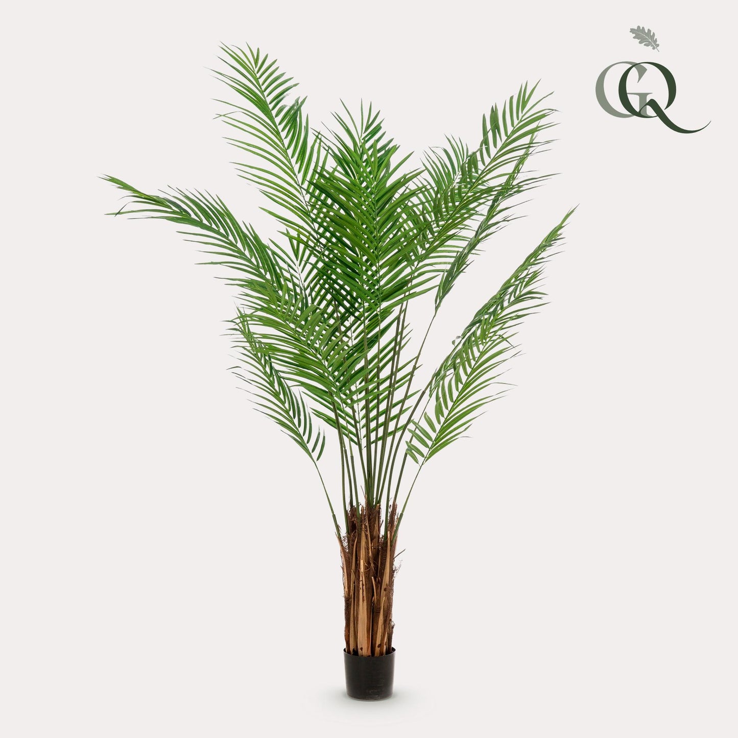 Kunstplant Areca Lutescens Goudpalm 180 - 240 cm