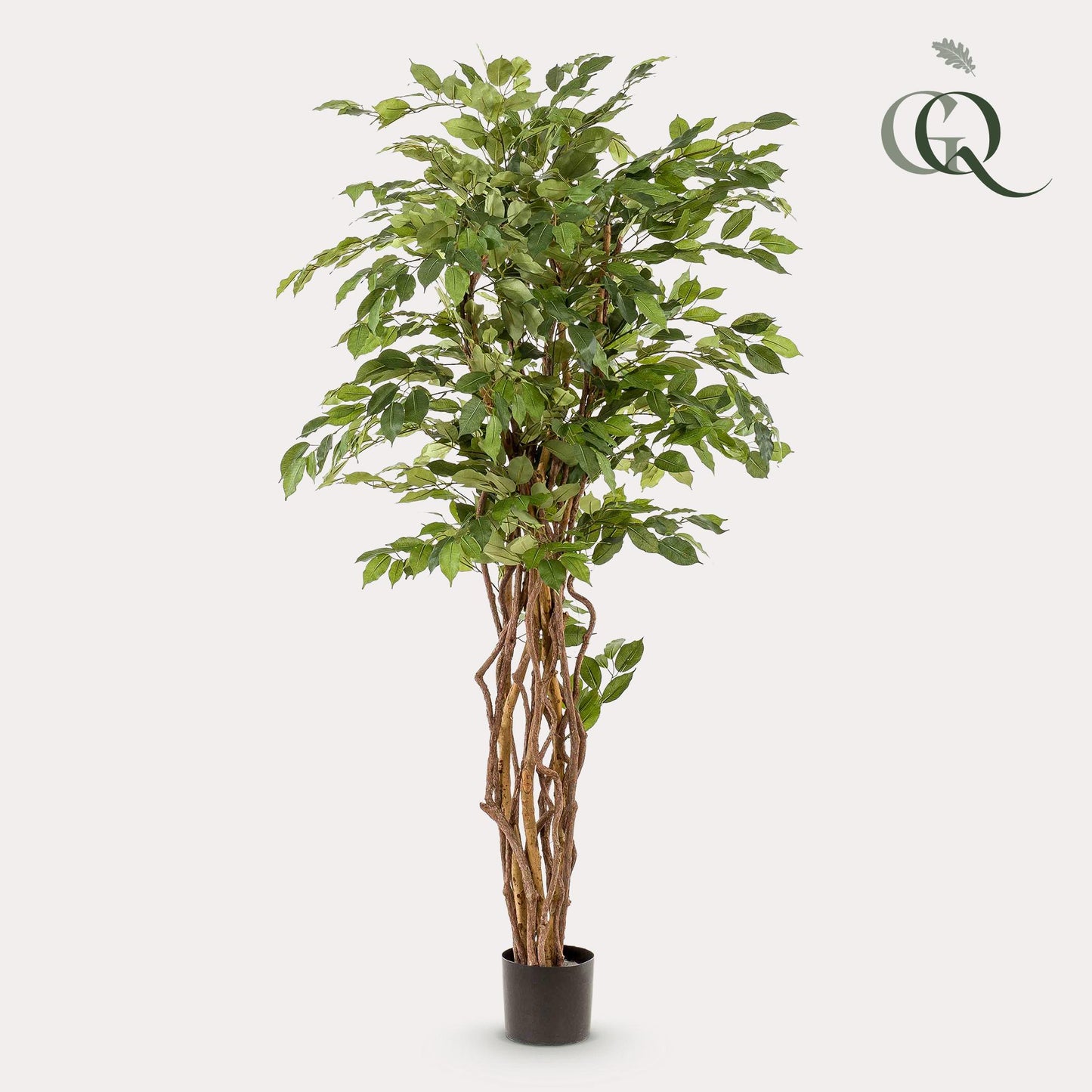 kunstplant Ficus liana  Vioolbladplant 170cm